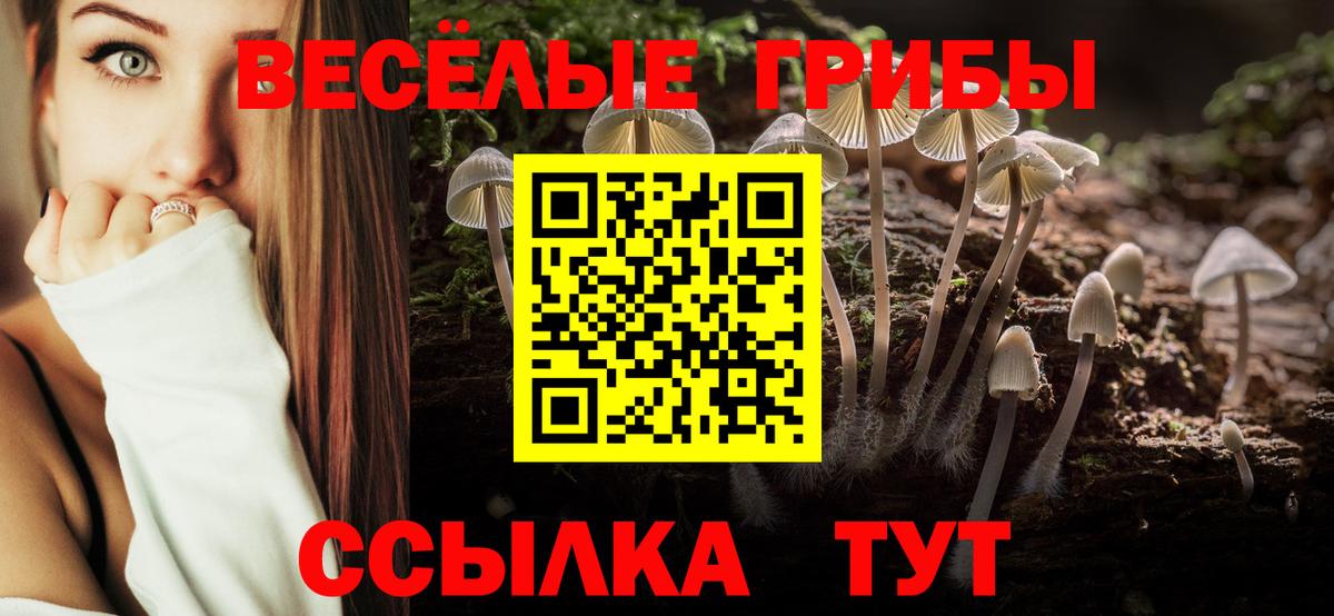 Галлюциногенные грибы мицелий  купить закладку  Керчь  Вход с VPN 